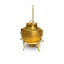 Antique Gold Shahi Matka